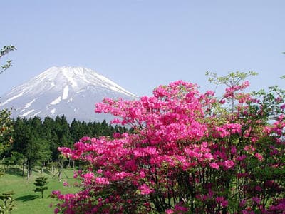 十里木カントリークラブ コース写真 1
