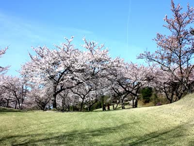 宮島志和カンツリー倶楽部 コース写真 1