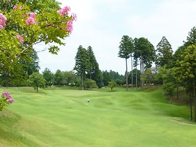 ダイナミックゴルフ成田のコース写真