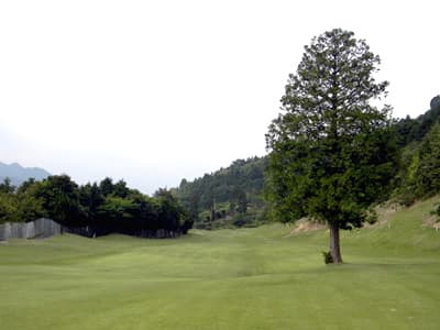 西条ゴルフ倶楽部 コース写真 1