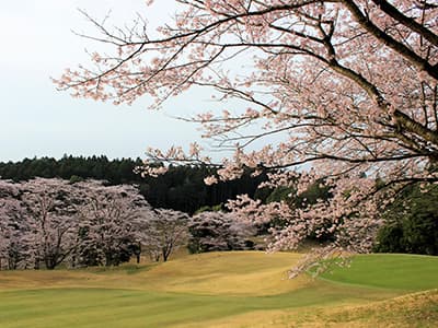 桜の宮ゴルフ倶楽部 コース写真 1