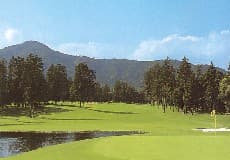 千代田カントリークラブ（茨城県） コース写真 1