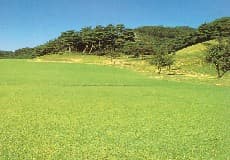 唐沢ゴルフ倶楽部 唐沢コース コース写真 1