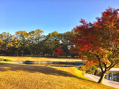塩原カントリークラブ コース写真 1