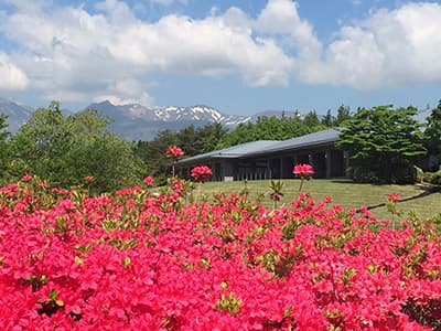 那須ちふり湖カントリークラブ コース写真 1
