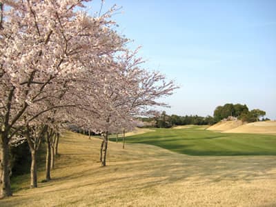 千葉桜の里ゴルフクラブ コース写真 1