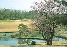 太平洋クラブグループ 金乃台カントリークラブ コース写真 1