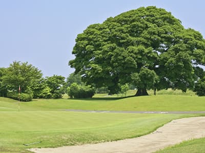 もおか鬼怒公園ゴルフ倶楽部 いちごゴルフクラブ コース写真 1